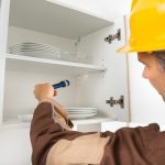 Sunshine Coast Pest Control Services – Flick.com.au